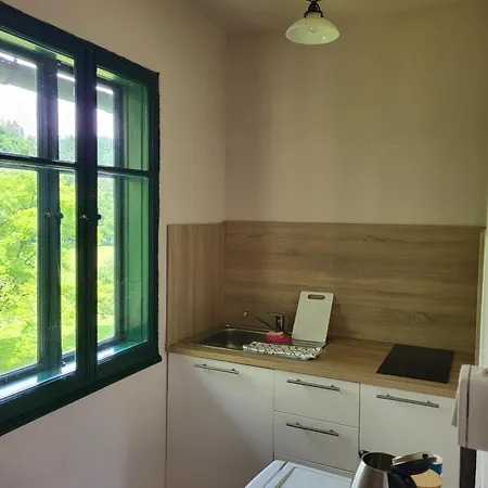 Apartment Apartma Sava