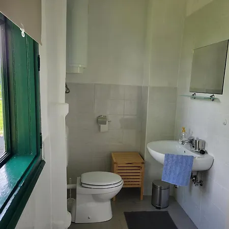 Apartma Sava