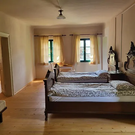 Apartma Sava